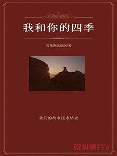各项准备工作全部就绪！陕西进入2024年“两会时间”